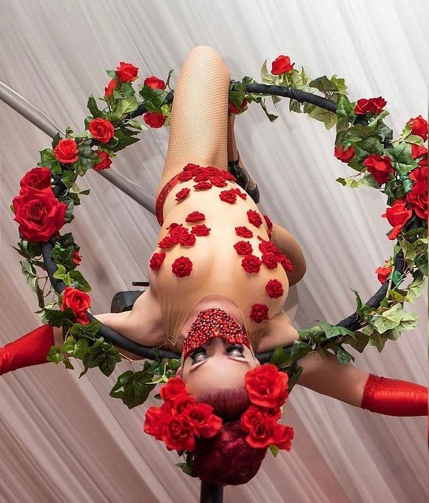 Freestanding Aerial Lollipop Rig performer in costume at an event in the New York metropolitan area (image 3)