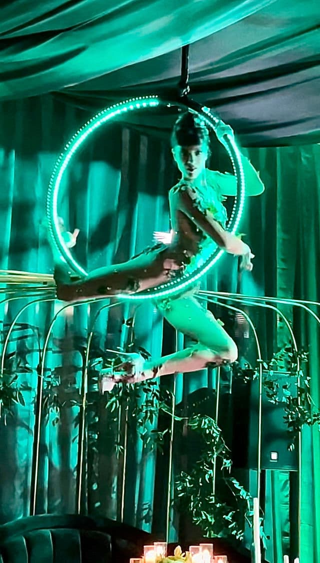 Freestanding Aerial Lollipop Rig performer in costume at an event in the New York metropolitan area (image 29)