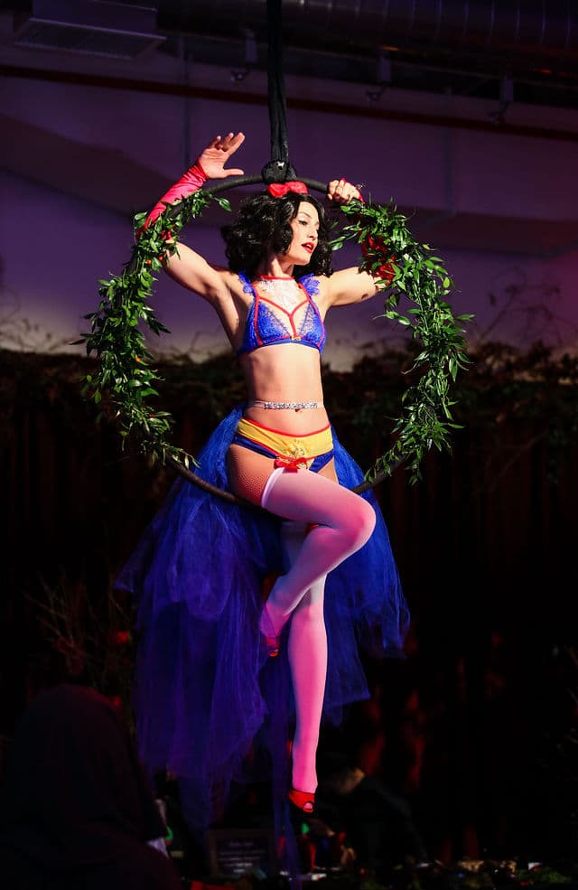 Freestanding Aerial Lollipop Rig performer in costume at an event in the New York metropolitan area (image 32)